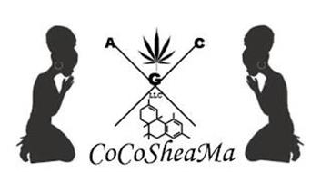 X A C G  LLC COCOSHEAMA