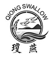 QIONG SWALLOW