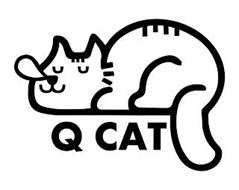 Q CAT