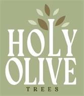 HOLY OLIVE TREES