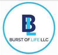 BURST OF LIFE LLC