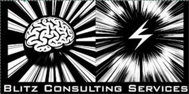 BLITZ CONSULTING SERVICES