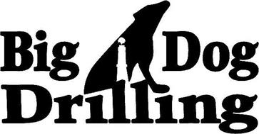 BIG DOG DRILLING Trademark of Acme Energy Services, Inc.. Serial Number