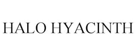 HALO HYACINTH