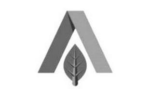 AMERIDEN INTERNATIONAL, INC.