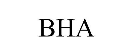 BHA Altair Careers & Jobs - Zippia