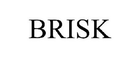 BRISK Trademark of Brintech, Inc.. Serial Number: 77313100 ...