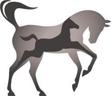 Caspian Horse Breeders Association, LLC