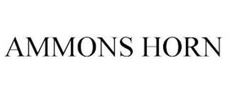 AMMONS HORN