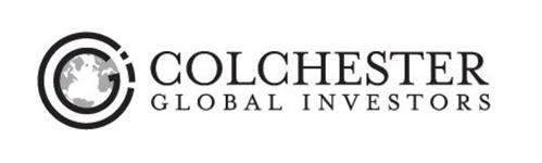 Binary investments global limited