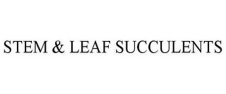 STEM & LEAF SUCCULENTS