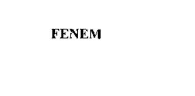 FENEM
