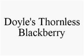 DOYLE'S THORNLESS BLACKBERRY