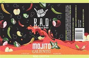 R.A.D REALLY AWESOME DRINKS! MOJITO CALIENTE! WINE COCKTAIL