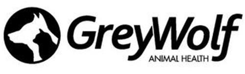 grey wolf express inc grey wolf express inc