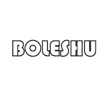 BOLESHU