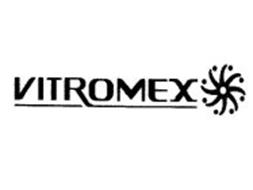 Vitromex Chihuahua