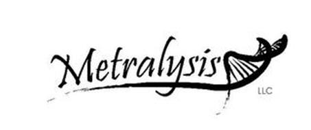 METRALYSIS LLC