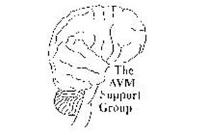 THE AVM SUPPORT GROUP