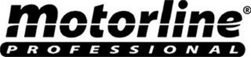 MOTORLINE PROFESSIONAL