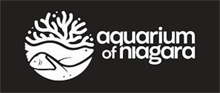 AQUARIUM OF NIAGARA