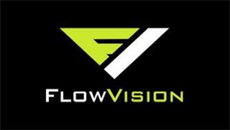 FV FLOWVISION