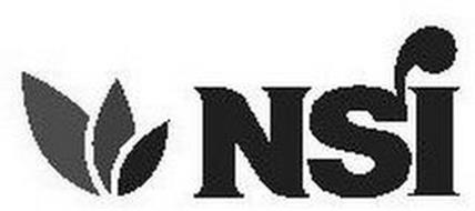 NSI Trademark of NSI Group, LLC Serial Number: 86582423 ...