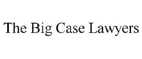THE BIG CASE LAWYERS