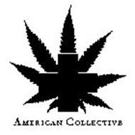 AMERICAN COLLECTIVE