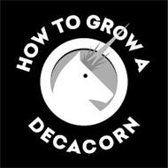 HOW TO GROW A DECACORN