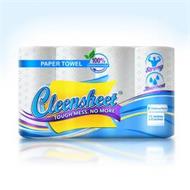 CLEENSHEET TOUGH MESS, NO MORE PAPER TOWEL 100% BIODEGRADABLE STRONG ABSORBENT TEAR-A-PIECE 11 INCHES X 6 INCHES