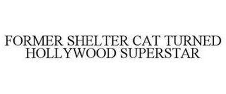 FORMER SHELTER CAT TURNED HOLLYWOOD SUPERSTAR
