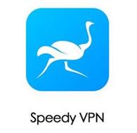 SPEEDY VPN