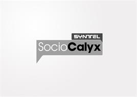 SYNTEL SOCIOCALYX
