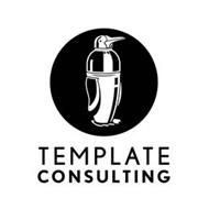 TEMPLATE CONSULTING