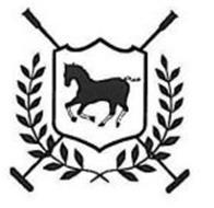 united states polo association