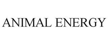 ANIMAL ENERGY