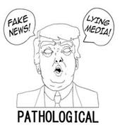 FAKE NEWS! LYING MEDIA! PATHOLOGICAL