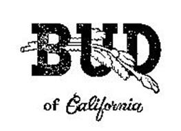 BUD OF CALIFORNIA