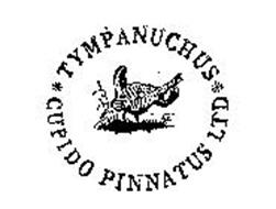 TYMPANUCHUS CUPIDO PINNATUS LTD