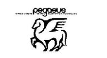 PEGASUS LUGGAGE THE GREAT SHAPES FOR THE GREAT ESCAPES