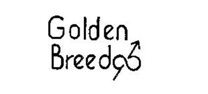 GOLDEN BREED GB