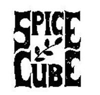 SPICE CUBE