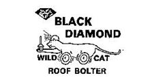 BLACK DIAMOND WILD CAT ROOF BOLTER