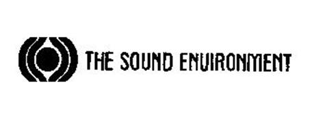 THE SOUND ENVIRONMENT