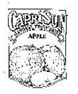 CAPRI SUN NATURAL FRUIT DRINK APPLE