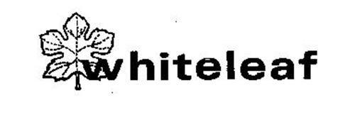 WHITELEAF