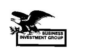 BUSINESS INVESTMENT GROUP