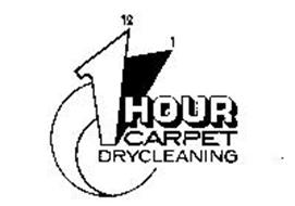 1 HOUR CARPET DRY CLEANING