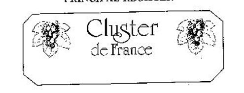 CLUSTER DE FRANCE